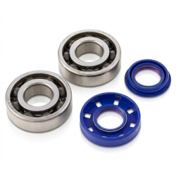Kit Cuscinetti Paraoli Banco Albero Moteur Polini Aprilia Sr 50 1994 1995 1996