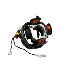 1808039 ALTERNATORE STATORE MAGNETE BETA ENDURO e MOTARD 50 RR (2005-2014)