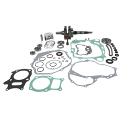 KIT REVISIONE MOTORE COMPLETO WRENCH RABBIT HONDA TRX 250 X 2017