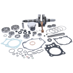 KIT REVISIONE MOTORE COMPLETO WRENCH RABBIT HONDA TRX 350 TE 2005